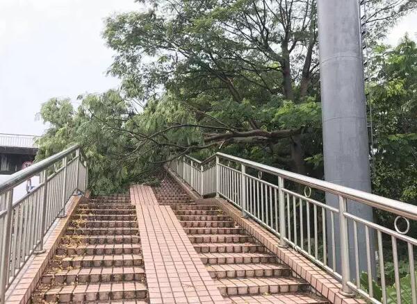 “天鸽”登陆了又怎样，cba买球官方平台在哪里看
正常发放福利！